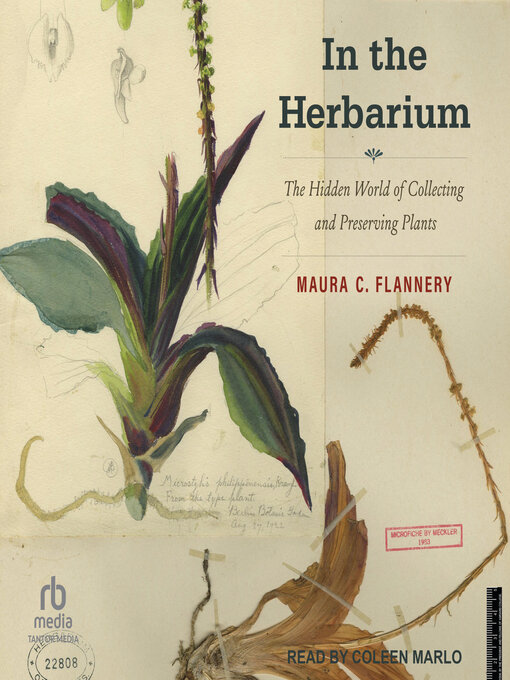 Cover image for In the Herbarium